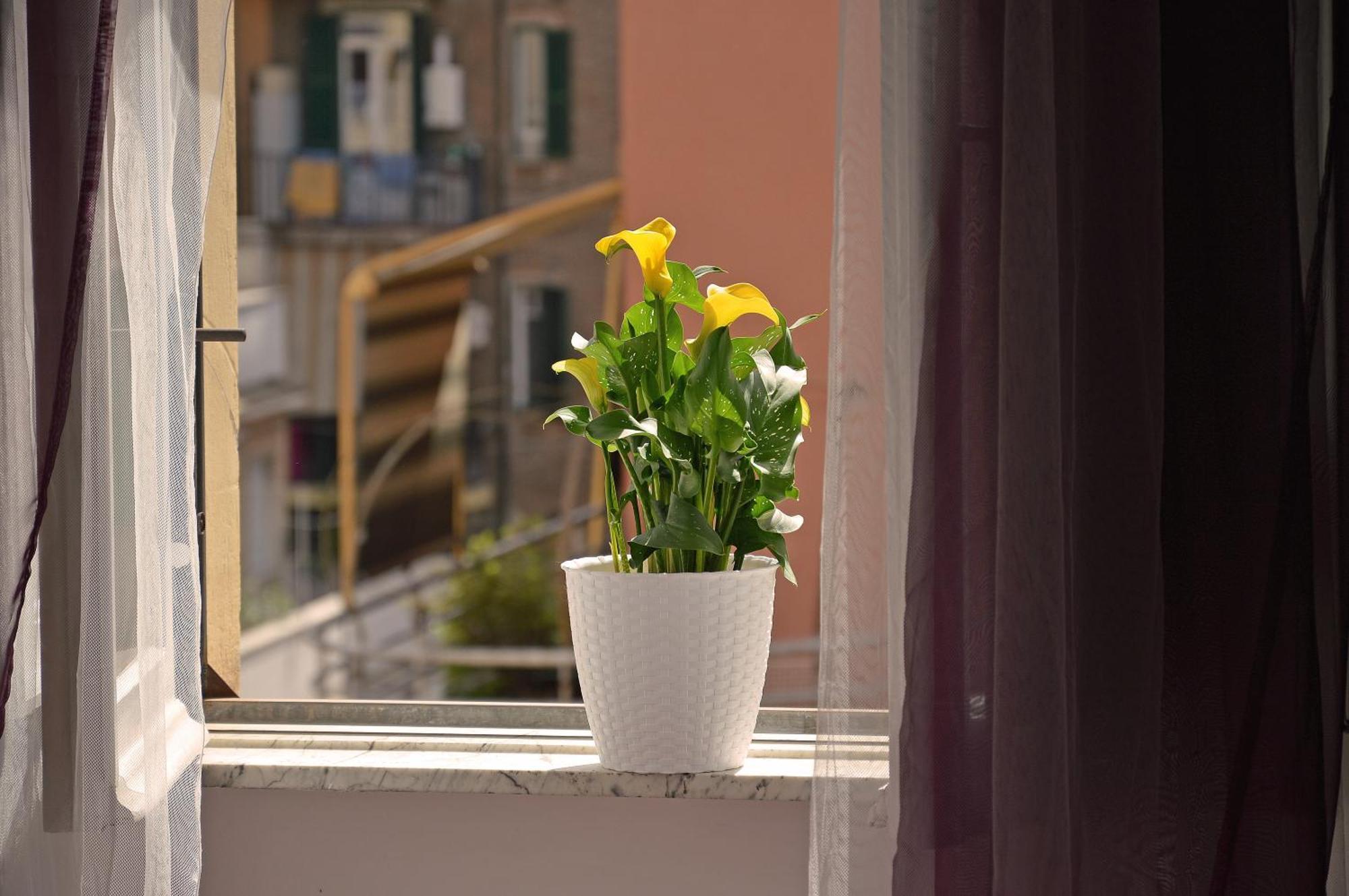 Casa Via Cesena Rom